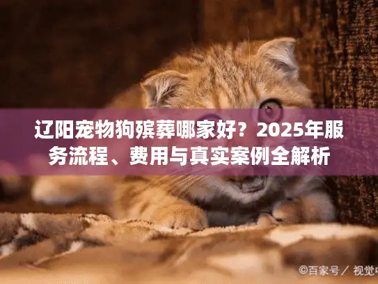 辽阳宠物狗殡葬哪家好？2025年服务流程、费用与真实案例全解析