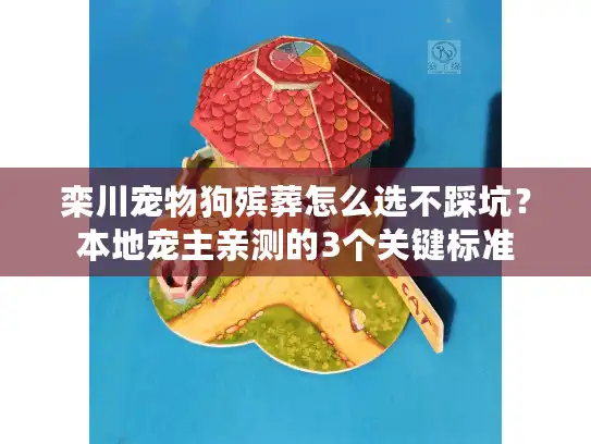 栾川宠物狗殡葬怎么选不踩坑？本地宠主亲测的3个关键标准