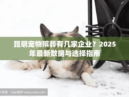 昆明宠物殡葬有几家企业?2025年最新数据与选择指南 昆明宠物殡葬有几家企业?2025年最新数据与选择指南