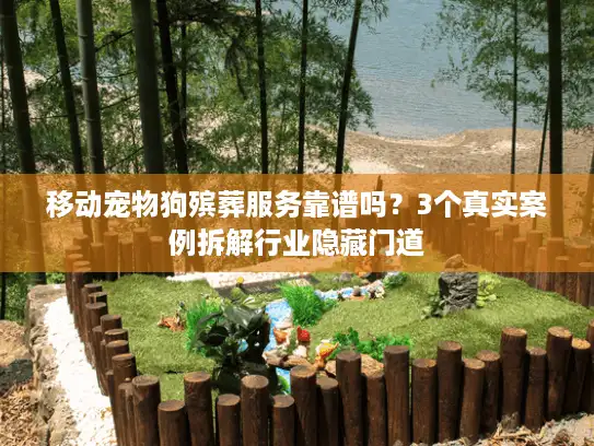 移动宠物狗殡葬服务靠谱吗？3个真实案例拆解行业隐藏门道