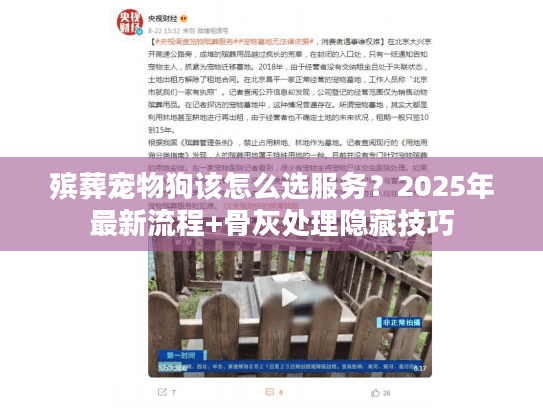 殡葬宠物狗该怎么选服务？2025年最新流程+骨灰处理隐藏技巧