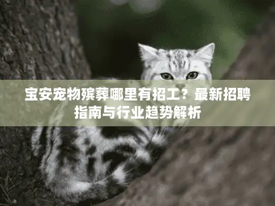 宝安宠物殡葬哪里有招工？最新招聘指南与行业趋势解析