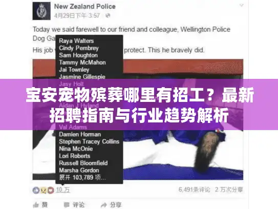 宝安宠物殡葬哪里有招工？最新招聘指南与行业趋势解析