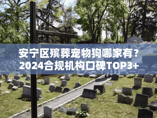 安宁区殡葬宠物狗哪家有？2024合规机构口碑TOP3+避坑指南（附真实体验）