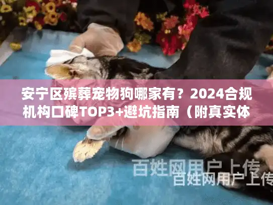 安宁区殡葬宠物狗哪家有？2024合规机构口碑TOP3+避坑指南（附真实体验）