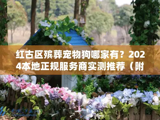 红古区殡葬宠物狗哪家有？2024本地正规服务商实测推荐（附流程价格）