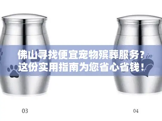 佛山寻找便宜宠物殡葬服务？这份实用指南为您省心省钱！