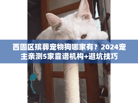 西固区殡葬宠物狗哪家有？2024宠主亲测5家靠谱机构+避坑技巧