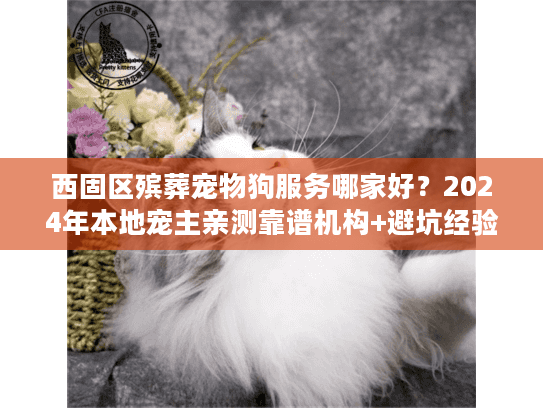西固区殡葬宠物狗服务哪家好？2024年本地宠主亲测靠谱机构+避坑经验