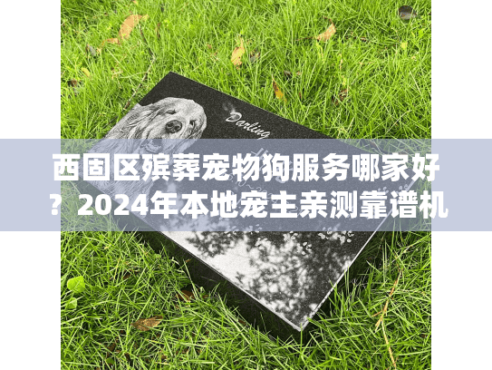西固区殡葬宠物狗服务哪家好？2024年本地宠主亲测靠谱机构+避坑经验