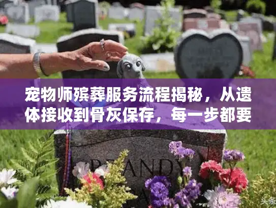 宠物师殡葬服务流程揭秘,从遗体接收到骨灰保存,每一步都要注意什么? 宠物师殡葬服务流程揭秘,从遗体接收到骨灰保存,每一步都要注意什么?