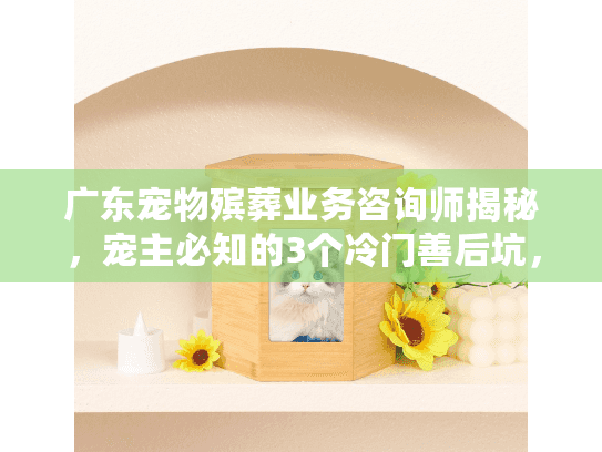 广东宠物殡葬业务咨询师揭秘，宠主必知的3个冷门善后坑，90%的人都踩过？