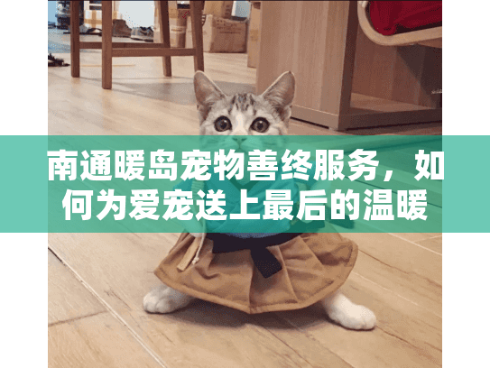 南通暖岛宠物善终服务，如何为爱宠送上最后的温暖告别