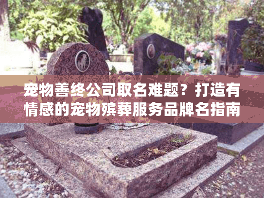 宠物善终公司取名难题？打造有情感的宠物殡葬服务品牌名指南