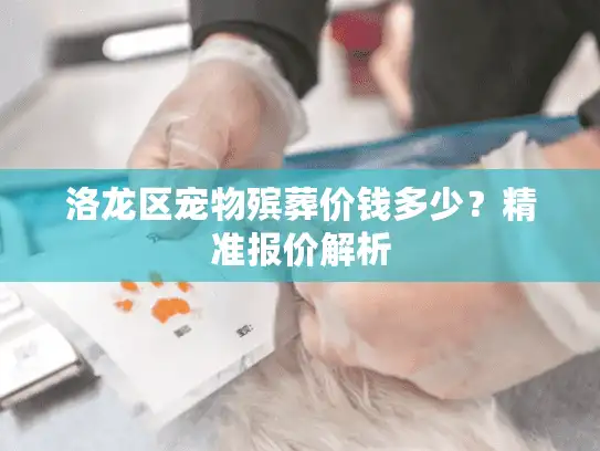 洛龙区宠物殡葬价钱多少?精准报价解析 洛龙区宠物殡葬价钱多少?精准报价解析