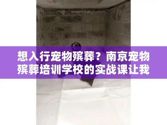想入行宠物殡葬？南京宠物殡葬培训学校的实战课让我少走1年弯路