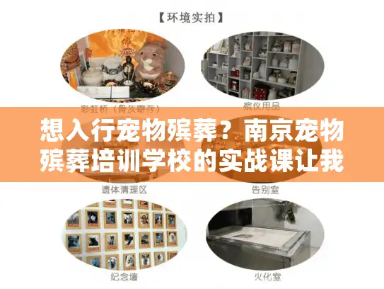 想入行宠物殡葬？南京宠物殡葬培训学校的实战课让我少走1年弯路