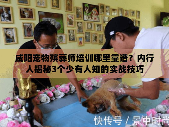 咸阳宠物殡葬师培训哪里靠谱？内行人揭秘3个少有人知的实战技巧