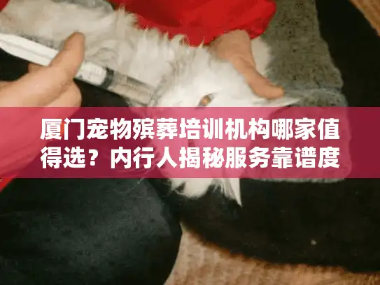 厦门宠物殡葬培训机构哪家值得选？内行人揭秘服务靠谱度的3个判断标准