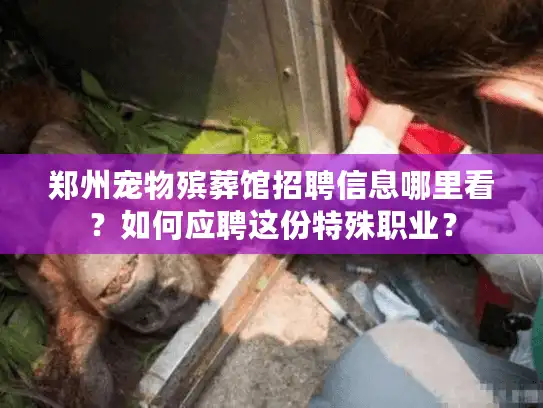 郑州宠物殡葬馆招聘信息哪里看？如何应聘这份特殊职业？