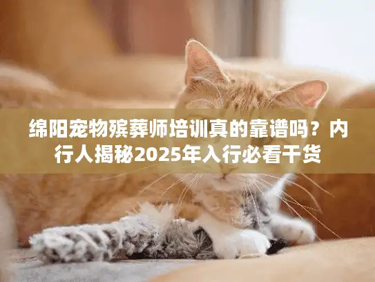 绵阳宠物殡葬师培训真的靠谱吗？内行人揭秘2025年入行必看干货