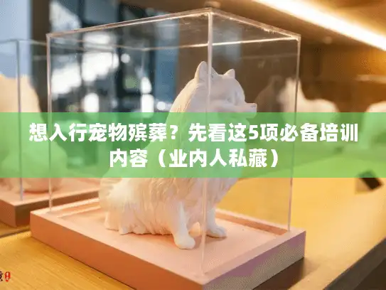 想入行宠物殡葬？先看这5项必备培训内容（业内人私藏）