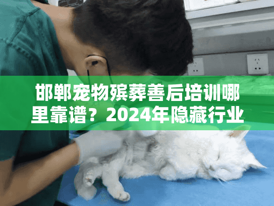 邯郸宠物殡葬善后培训哪里靠谱？2024年隐藏行业干货+真实案例拆解