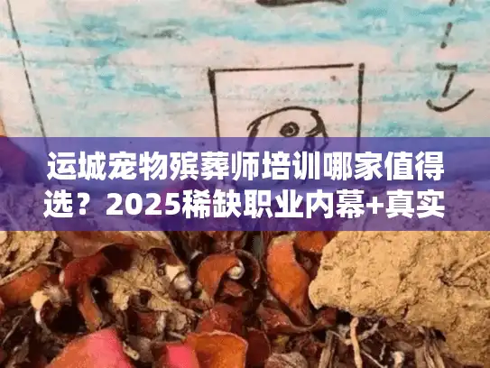 运城宠物殡葬师培训哪家值得选？2025稀缺职业内幕+真实案例拆解