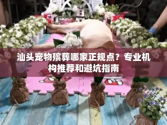 汕头宠物殡葬哪家正规点?专业机构推荐和避坑指南 汕头宠物殡葬哪家正规点?专业机构推荐和避坑指南