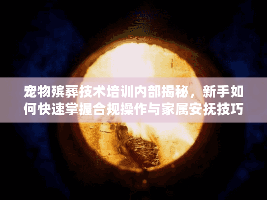 宠物殡葬技术培训内部揭秘，新手如何快速掌握合规操作与家属安抚技巧？