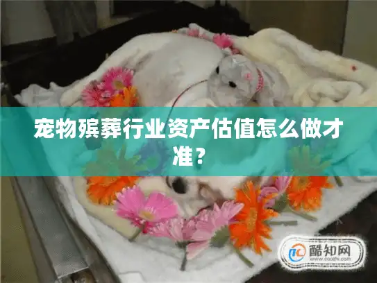 宠物殡葬行业资产估值怎么做才准？