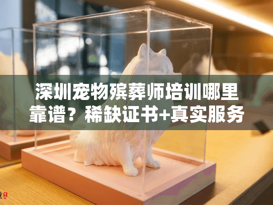 深圳宠物殡葬师培训哪里靠谱？稀缺证书+真实服务案例全揭秘