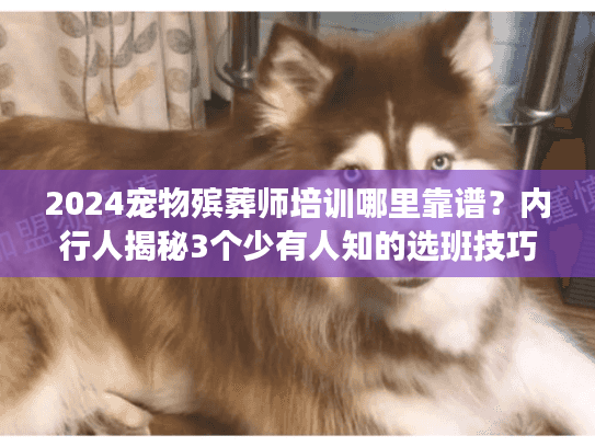 2024宠物殡葬师培训哪里靠谱?内行人揭秘3个少有人知的选班技巧+真实案例 2024宠物殡葬师培训哪里靠谱?内行人揭秘3个少有人知的选班技巧+真实案例