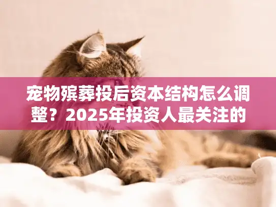 宠物殡葬投后资本结构怎么调整？2025年投资人最关注的4大趋势