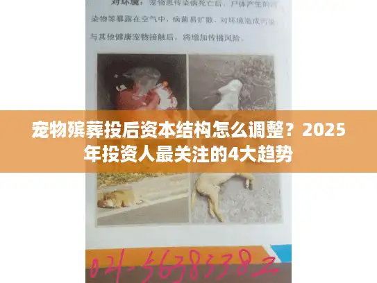 宠物殡葬投后资本结构怎么调整？2025年投资人最关注的4大趋势