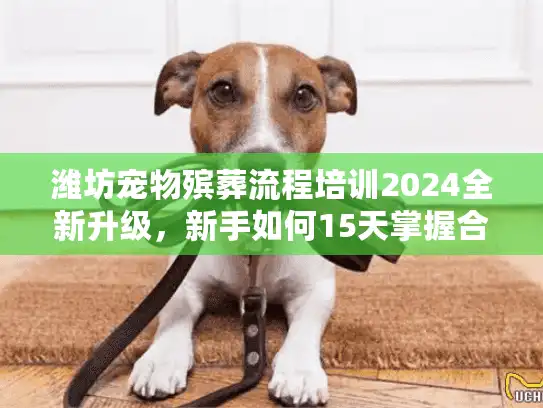 潍坊宠物殡葬流程培训2024全新升级,新手如何15天掌握合规服务全流程? 潍坊宠物殡葬流程培训2024全新升级,新手如何15天掌握合规服务全流程?