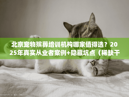 北京宠物殡葬培训机构哪家值得选?2025年真实从业者案例+隐藏坑点(稀缺干货) 北京宠物殡葬培训机构哪家值得选?2025年真实从业者案例+隐藏坑点(稀缺干货)