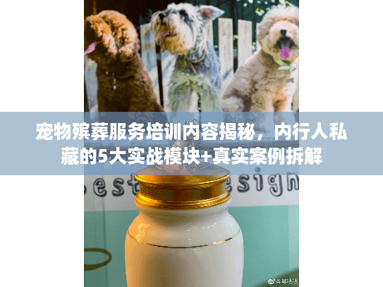 宠物殡葬服务培训内容揭秘，内行人私藏的5大实战模块+真实案例拆解