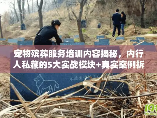 宠物殡葬服务培训内容揭秘，内行人私藏的5大实战模块+真实案例拆解