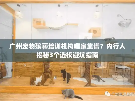 广州宠物殡葬培训机构哪家靠谱？内行人揭秘3个选校避坑指南