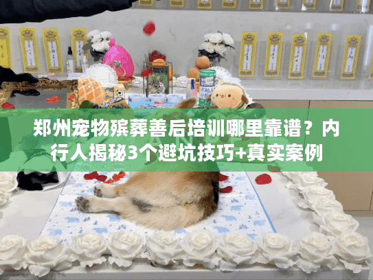郑州宠物殡葬善后培训哪里靠谱？内行人揭秘3个避坑技巧+真实案例