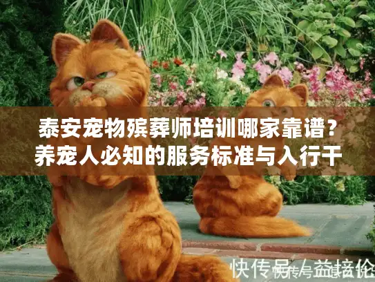 泰安宠物殡葬师培训哪家靠谱?养宠人必知的服务标准与入行干货 泰安宠物殡葬师培训哪家靠谱?养宠人必知的服务标准与入行干货