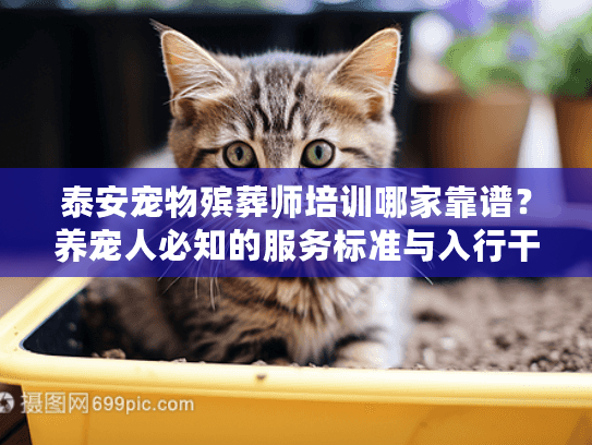 泰安宠物殡葬师培训哪家靠谱?养宠人必知的服务标准与入行干货 泰安宠物殡葬师培训哪家靠谱?养宠人必知的服务标准与入行干货