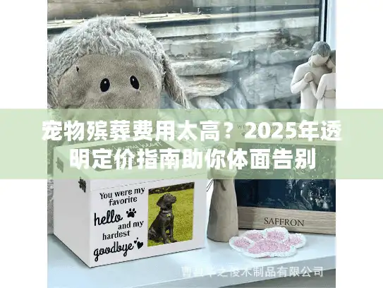 宠物殡葬费用太高？2025年透明定价指南助你体面告别