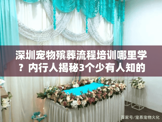 深圳宠物殡葬流程培训哪里学？内行人揭秘3个少有人知的实战渠道（附2025真实案例）