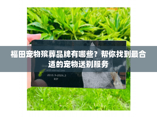 福田宠物殡葬品牌有哪些?帮你找到最合适的宠物送别服务 福田宠物殡葬品牌有哪些?帮你找到最合适的宠物送别服务