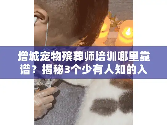 增城宠物殡葬师培训哪里靠谱？揭秘3个少有人知的入行真相+实操案例