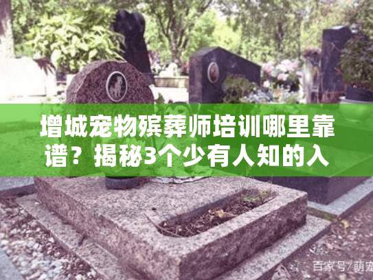 增城宠物殡葬师培训哪里靠谱？揭秘3个少有人知的入行真相+实操案例