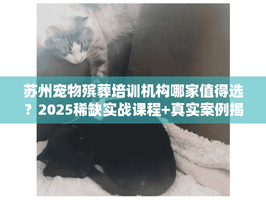 苏州宠物殡葬培训机构哪家值得选?2025稀缺实战课程+真实案例揭秘 苏州宠物殡葬培训机构哪家值得选?2025稀缺实战课程+真实案例揭秘