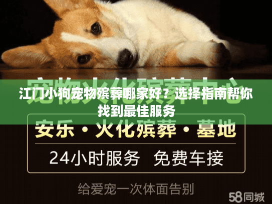 江门小狗宠物殡葬哪家好？选择指南帮你找到最佳服务